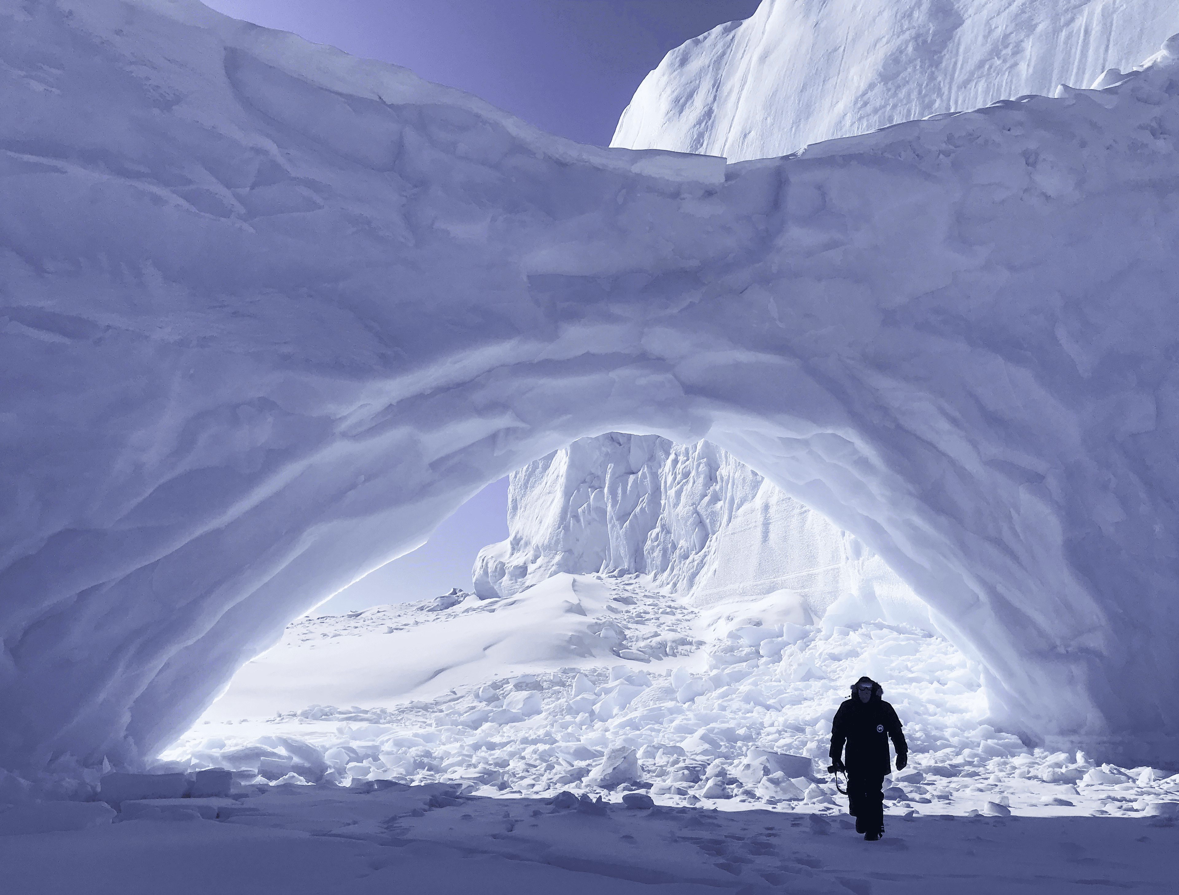 polar bear on an iceberg in the Arctic